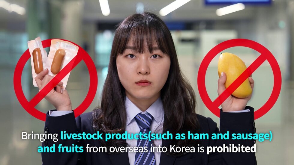 외국인유학생 대상 국경검역 세부내용 영문