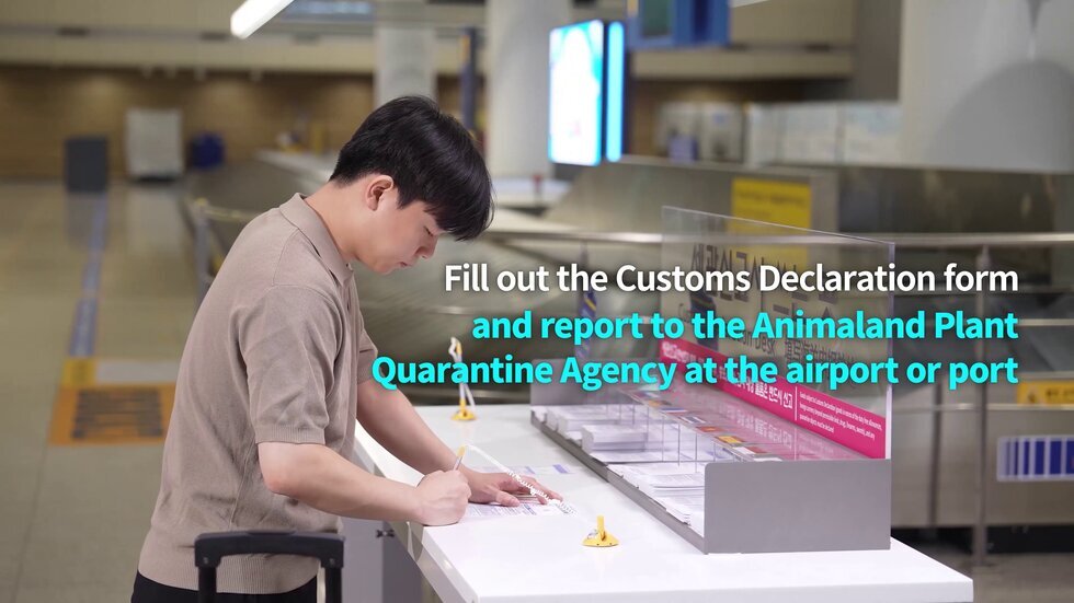 외국인유학생 대상 국경검역 세부내용 영문