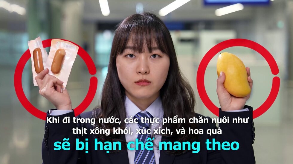 외국인유학생 대상 국경검역 세부내용 베트남어