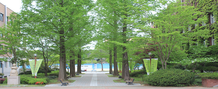 메타세콰이어 쉼터